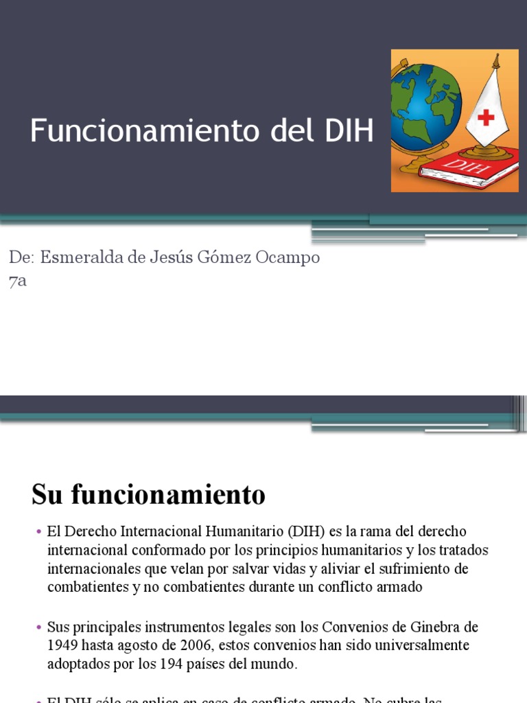 Funcionamiento Del DIH PDF