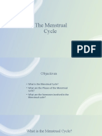 The Menstrual Cycle