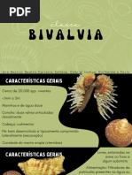 Bivalvia Zoo III