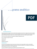 Programa Analitico COMPLETO