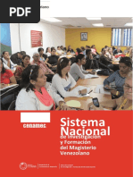 24 Lineas de Investigación - Nuevo - Sistema Nacional de Investigacion y Formación