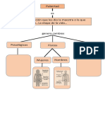 Mapa Conceptual