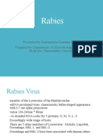 2a. Rabies