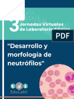 RESUMEN Desarrollo y Morfología de Neutrófilos