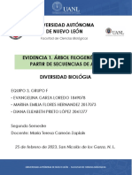 Evidencia 1. Árbol Filogenético A Partir de Secuencias de Adn