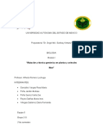 Trabajo Biologia Modulo I Lechuga EQUIPO 5