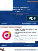 HISTOLOGÍA Sesion 6 - Tejido Muscular I Músculo Estriado Esqueléticovisceral