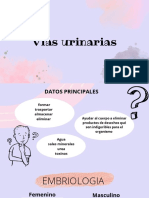 Vías Urinarias Equipo1