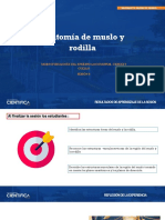 ANATOMIA Sesión 6 - 2023 - 1