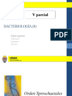 Bacteriología 8j