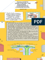 Resúmen Anatomia de Moore - Meninges Craneales. GRUPO N.6