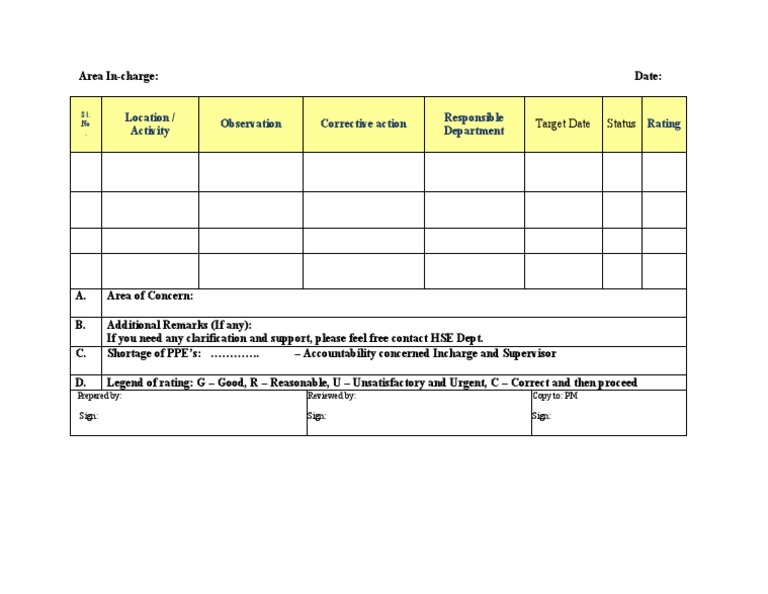 Daily Observation Report PDF