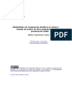 Metabolismo de compuestos fenólicos en olivas y estudio de aceites de oliva singulares de la provincia de Lleida