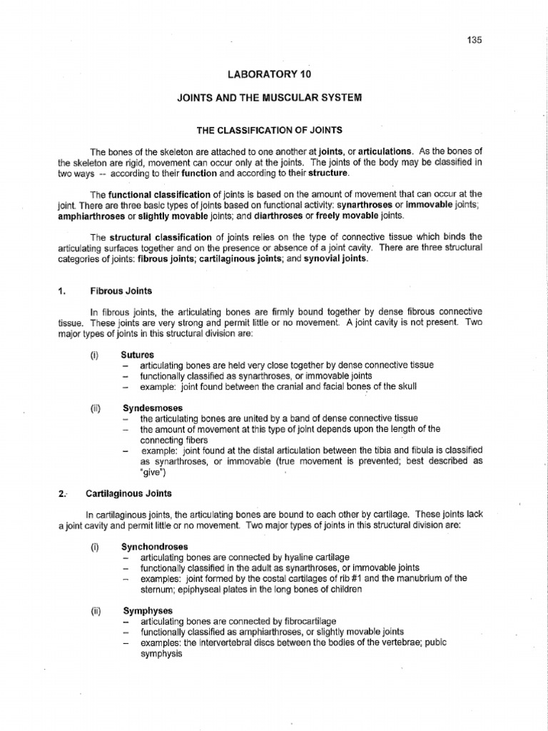 lab-10-answer-key-pdf