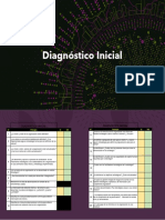 DiagnÃ Stico Inicial