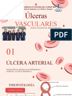 Ulceras Vasculares