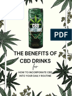 Everything You Need to Know About CBD Drinks: Benefits, Recipes and How to Choose the Best Oils