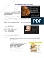 Cronología de La Dentición y Desarrollo Emocional