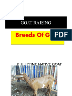 Breeds of Goats