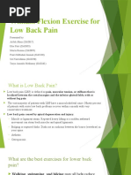 Williams Flexion Exercises | PDF