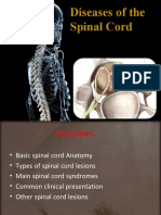 Spinal Cord DS C1