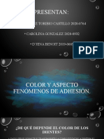 Color y adhesión dental