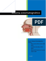 Sistema Estomatognatico PDF