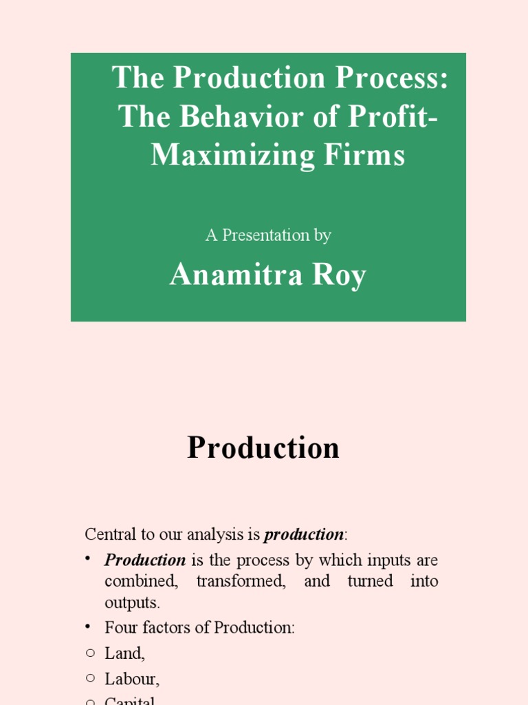 Production Process PDF Long Run And Short Run Production Function