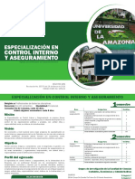 007 Especializacion en Control Interno