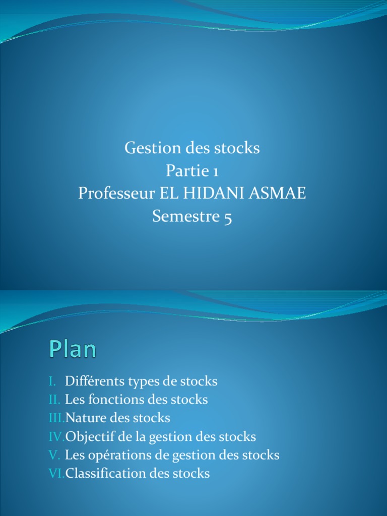Gestion des Stocks : Types et Fonctions | PDF | Inventaire | Économie ...