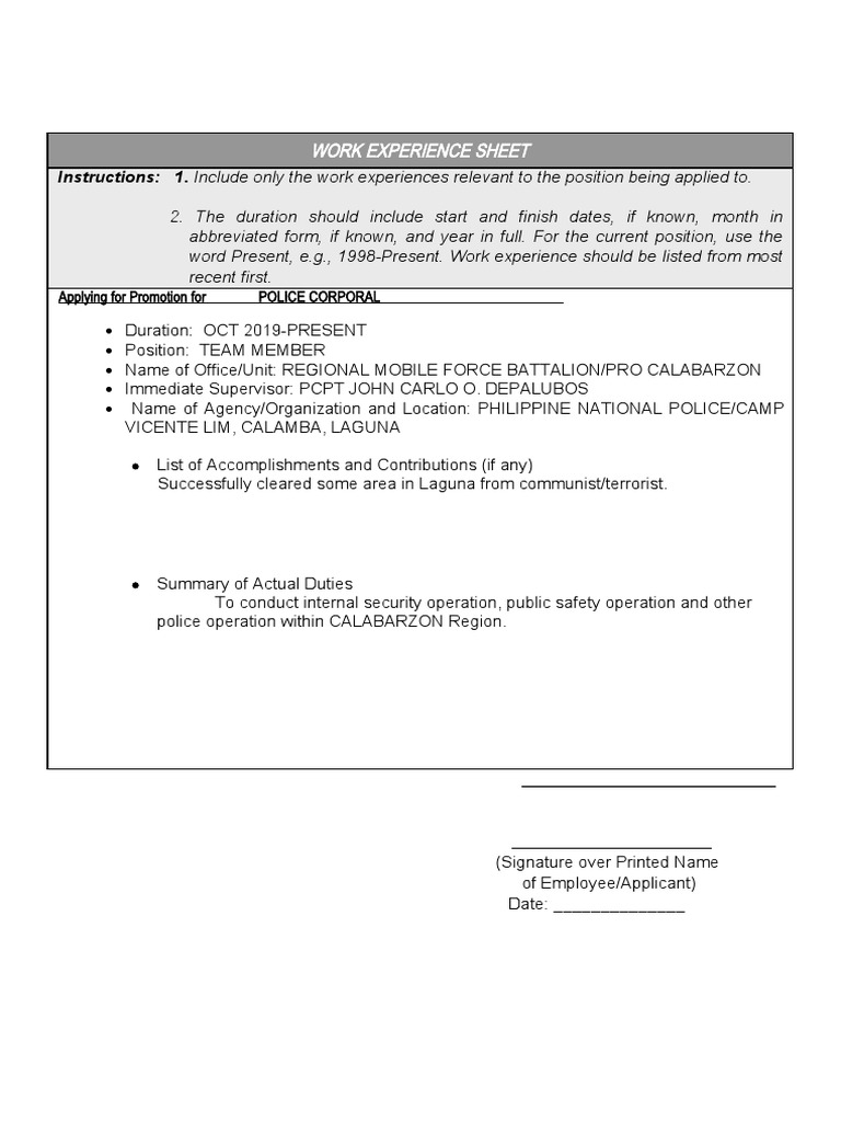 Work Experience Sheet PDF