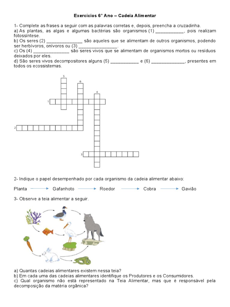 Exercícios 6° Ano - Cadeia Alimentar | PDF