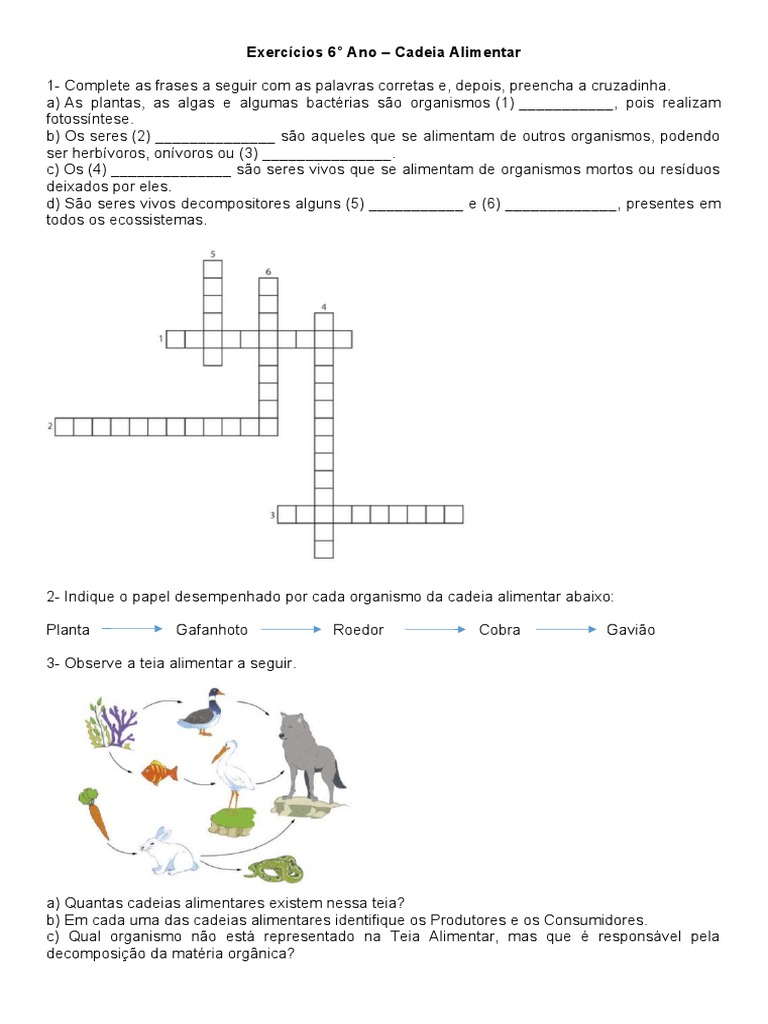 FOTOSSÍNTESE - puzzle online