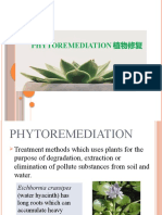 Chapter 1 Transport - Plant-3