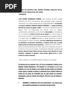 Amparo por Negativa de Pensión IMSS | PDF | Caso de ley | Debido al proceso