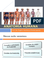 Aula 1 e 2 Introdução a Anatomia