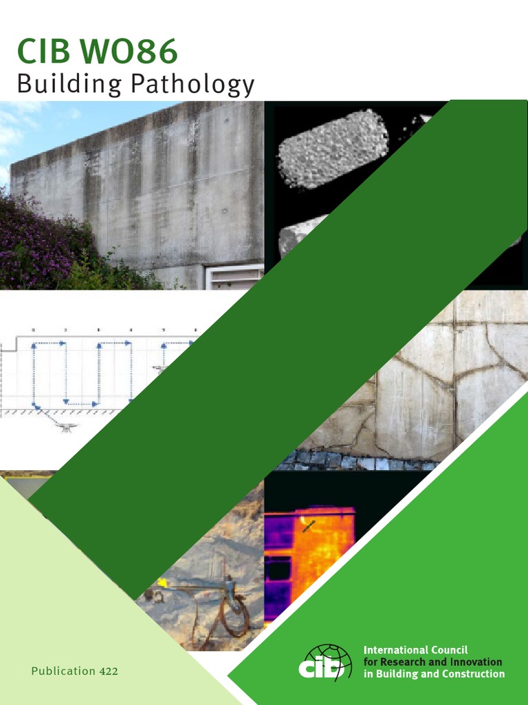 BUILDING PATHOLOGY PRINCIPLES AND PRACTICE PDF visual data 7