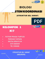 Sistem Koordinasi (Struktur Sel Saraf)