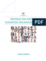 Exemplu-raport-diagnoza-organizationala
