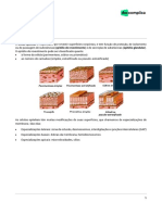 Extensivoenem-Biologia1-Tecidos Epiteliais-08-07-2019