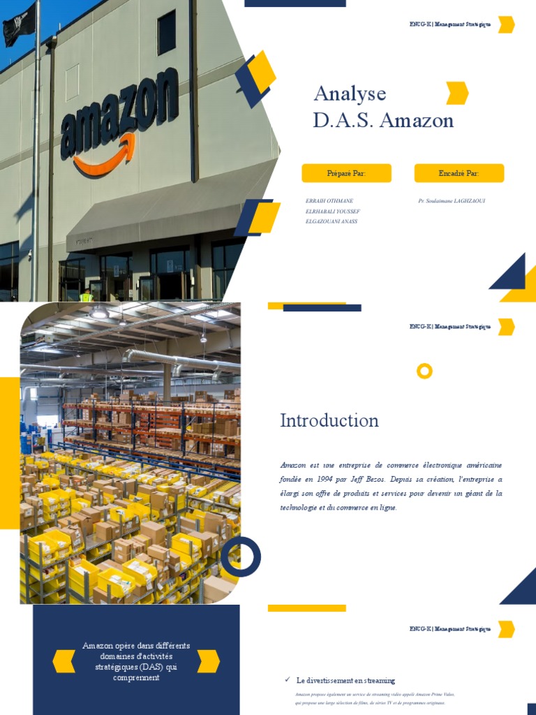 Analyse DAS Amazon | PDF