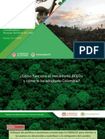Implementación de REDD en Colombia. MADS