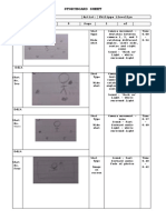 Storyboard Sheet