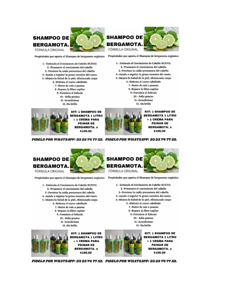 Shampoo de Bergamota PDF