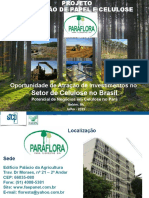 Para Flora Novo