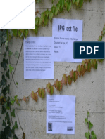 Exemplu PDF Puternic Dezvoltat