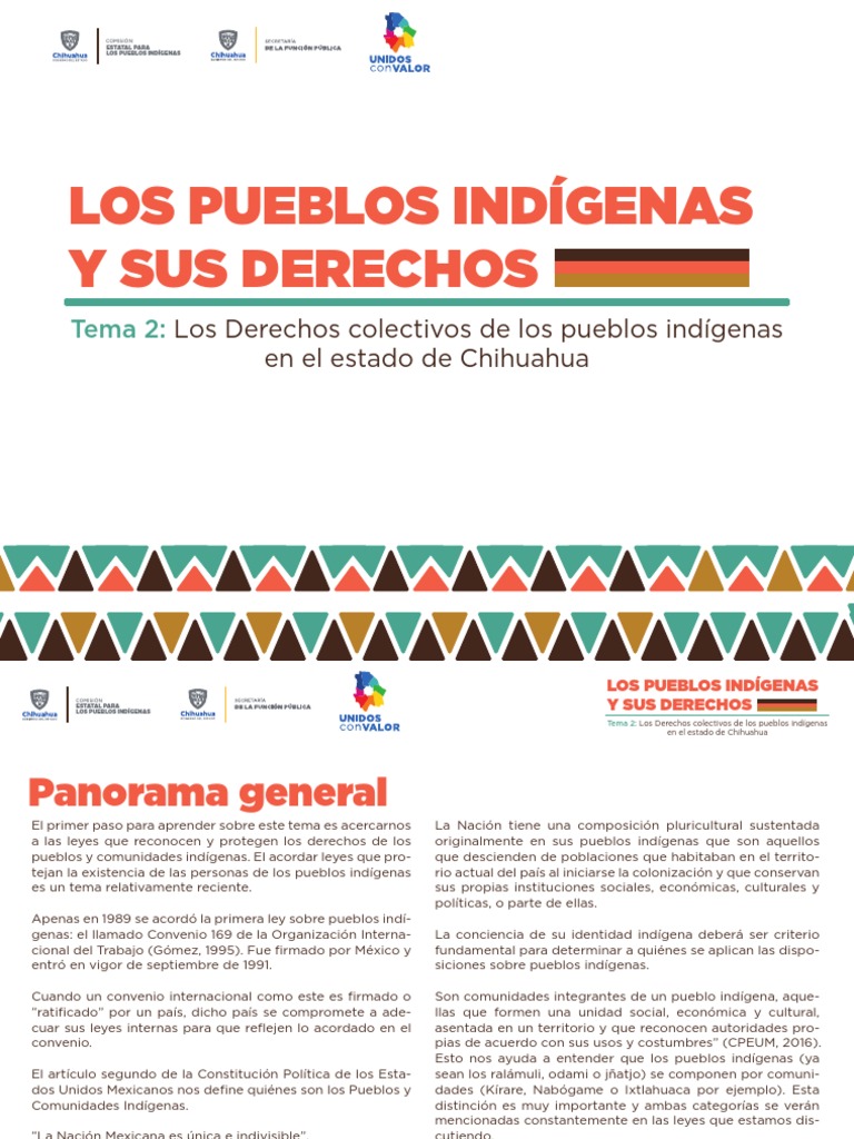 Pueblos Indígenas y Sus Derechos 2 | PDF