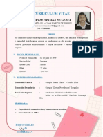 Curriculum-Vitae Misaico Injante Neussa Eugenia