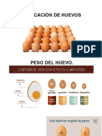 Clasificación de Huevos Concepcion