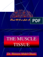 Muscle Tissue (1) 094116